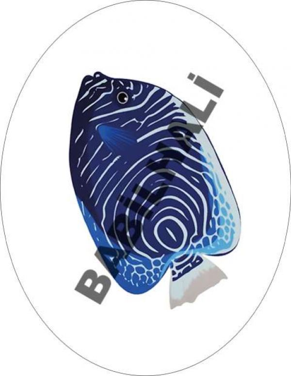 B1002