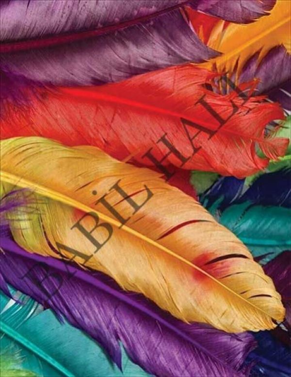 B1056
