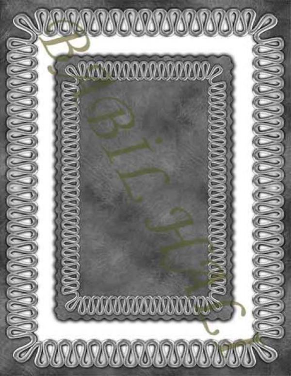 E1110