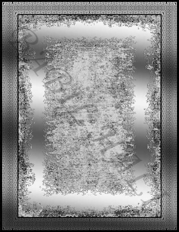 PL1006-1