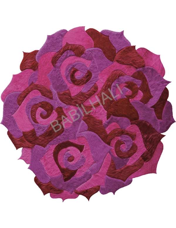 D2016-2