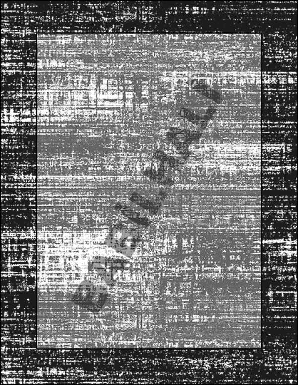 T1061